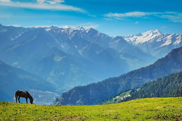 Delhi to Dalhousie Tempo Traveller